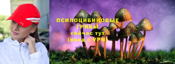 соль курить ск Бронницы