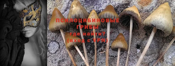 каннабис Бородино